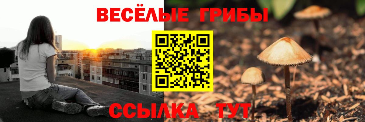 Псилоцибиновые грибы ЛСД  Вход с VPN  Моршанск 